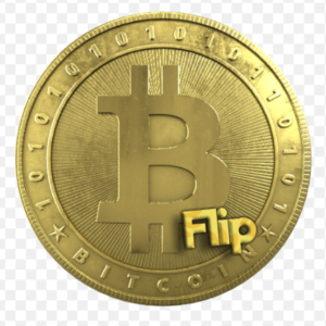  flipping bitcoin